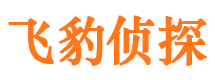 沙市市私家调查